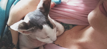 Paola und ihre Katzen